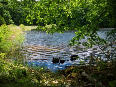🌳 놋포로 삼림공원(놋포로 신린 코엔) 이미지 3